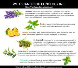 Ensemble d'huiles essentielles naturelles pures 2021 ml, étiquette privée, qualité thérapeutique aromatique, non parfumée, populaire, 6 parfums - Product Image 4