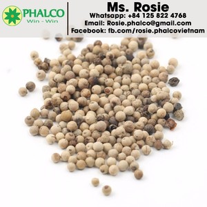 พริกไทยขาวเวียดนามขายส่งสำหรับส่งออก คุณภาพดี ราคาดีที่สุด - Product Image 4