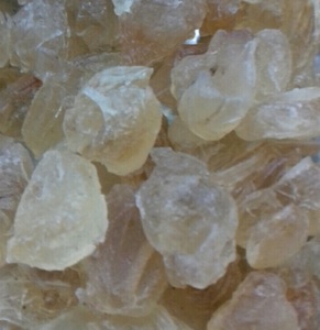 Sterculia foetida/gum karaya/gum - Product Image 2