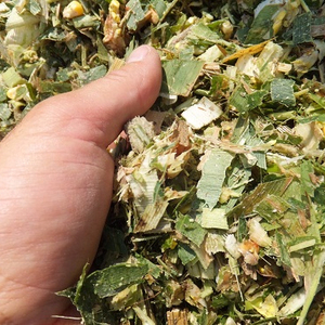 Silage de maïs du Vietnam - Bagasse de canne à sucre - SILAGES pour CHEVAUX - Product Image 1