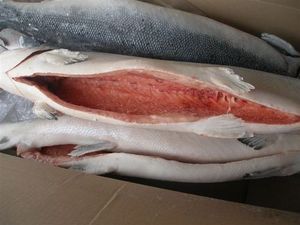 Pescado de salmón congelados, a la venta PEDIDO AHORA - Product Image 5
