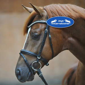 Brida para Caballo Polan con Muserola de Flash, Brida Polan con Muserola de Flash, Brida Plegable para Caballo - Product Image 3