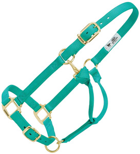 Harnais en nylon pour cheval, réglable, durable, avec boucle en métal pour cheval, poney et cob - Product Image 2