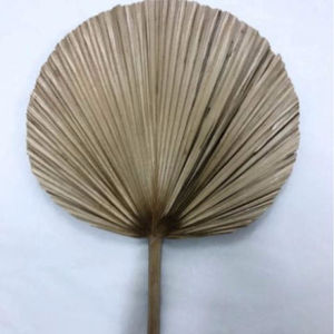 VENTILATEUR À MAIN ROND TISSÉ EN PAILLE NATURELLE VENTILATEUR TRADITIONNEL DE HAUTE QUALITÉ PALPE - Product Image 1