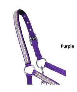 Cabestro de caballo de Nylon Adj Mini de cristal púrpura - Product Image 2
