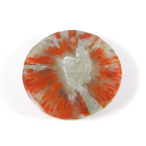 Utah Coral 19mm cabujón redondo 14,90 Cts Fabricación de piedras preciosas sueltas para joyería - Product Image 2