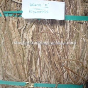 Taro Amarillo Seco CTC, Tallo BD 2021 - Product Image 5