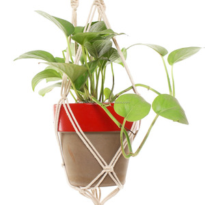 Colgadores de plantas de macramé, colgadores de plantas de cuerda, hechos a mano, mágicos - Product Image 3