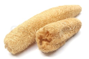 Luffa naturel brut/luffa naturel pour douche/savon luffa vacances - Product Image 5