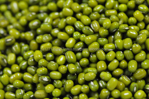 Mejor Proveedor de Frijoles Mung Verdes Naturales Secos de Alta Calidad para Agricultura, Proteína Premium, Frijoles Dal Vigna a Granel para Compradores - Product Image 2