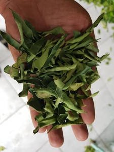 FEUILLES DE CITRON SÉCHÉES PURES - Product Image 2