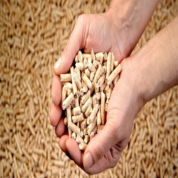 قشر الأرز/إندونيسيا/بولندا مشترين من الخشب الطبيعي/استيراد 100% من الخشب النقي