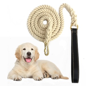 Correa de cuerda de arcoíris Ombre y Collar de perro de cuero genuino, conjunto de Collar de perro de alta calidad, productos para mascotas, todos los colores, trenzados duraderos de lujo - Product Image 4