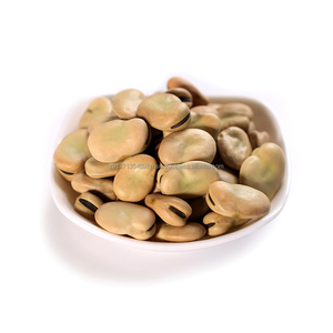 Wholesale Dried Fava <b>Beans</b> with Shell Healthy Nut Snack Fried Salty Vacuum Packed Broad <b>Beans</b> Snacks - Product Image 4