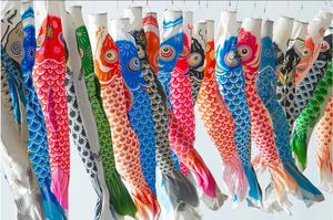 Windsock carp FLAG-Sailfish WIND-Sailfish Fish WIND - Product Image 3