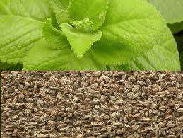 น้ำมันหอมระเหยกลิ่นน้ำหอม100% ธรรมชาติสำหรับผิวผมอโรมาเทอราพีสมุนไพร - Product Image 4