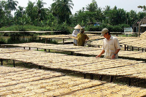 GRANDE PIÈCE DE BANANE PRESSÉE-Collations spéciales aux fruits vietnamiens à base de banane - Product Image 4