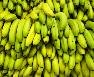 <b>Fresh</b> Green <b>Banana</b> / Best Sale / - Product Image 2