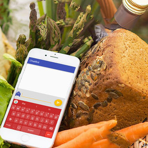 A petición de la aplicación de la chatobot en la India - ProtoLabz eservices - Product Image 4