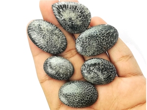 Gema de cabujón de tamaño y forma mixta, Coral negro - Product Image 2