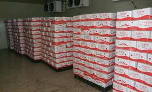 Pimienta fresca de Chile rojo orgánico Producto vegetal natural del fabricante real para la alimentación y la agricultura Listo para la exportación - Product Image 6