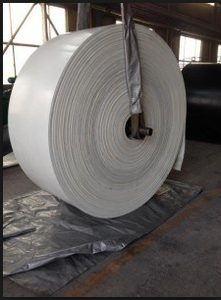 ईपी 250/2-3 + 1 सफेद खाद्य ग्रेड कन्वेयर बेल्ट - Product Image 6