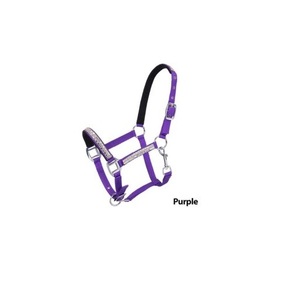 Cabestro de caballo de Nylon Adj Mini de cristal púrpura - Product Image 1
