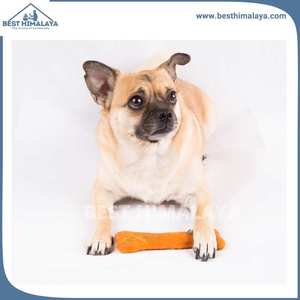 Juguete de Fieltro para Masticar para Perros, de Lana Ecológica, Colorido, Moderno, Lujoso, Bonito y a la Moda, para Todas las Temporadas, el Mejor Regalo para el Día de San Valentín, para Niños - Product Image 2