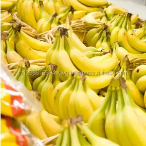 Хорошие зеленые Высококачественные свежие бананы CAVENDISH