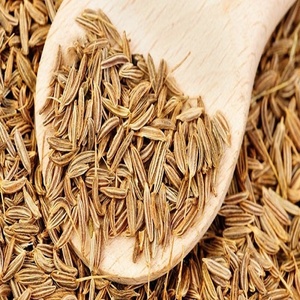 Graines de cumin indiennes 100% épices biologiques pures à forte demande pour la cuisson séchée du fournisseur 5kg 10kg 15kg emballée au four - Product Image 4