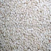 Granos de Sorgo Blanco Milo, Grado A, Secos, Sudáfrica, Precio por Tonelada - Product Image 3