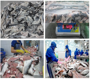 ปลาแซลมอนแห้ง,ผิวจากเวียดนาม/อำพัน + 84383004939 - Product Image 4