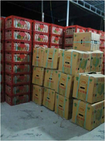 Iqf Vlees Durian Leveranciers Vietnam In 2024