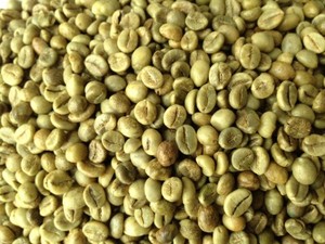Granos de café Robusta de Vietnam Tamaño 18 Nueva cosecha Green Direct Farms Factory Venta al por mayor Precio bajo Alta calidad-HANFIMEX 0084915196568 - Product Image 3