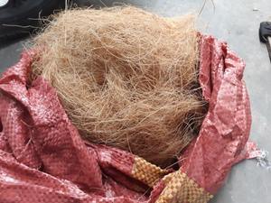 Estera de fibra de cáscara de coco ecológica al mejor precio, fibra de coco cruda sostenible para hilado de material de relleno de hormigón - Product Image 3