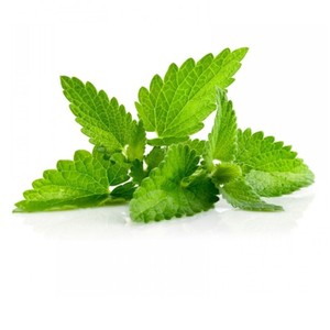 น้ำมันหอมระเหยกานพลูบริสุทธิ์100% เกรดพรีเมี่ยม - Product Image 1