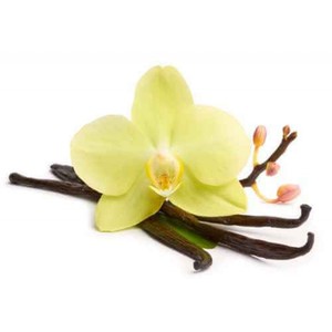ผู้ผลิตน้ำมันหอมระเหยวานิลลา - Product Image 4