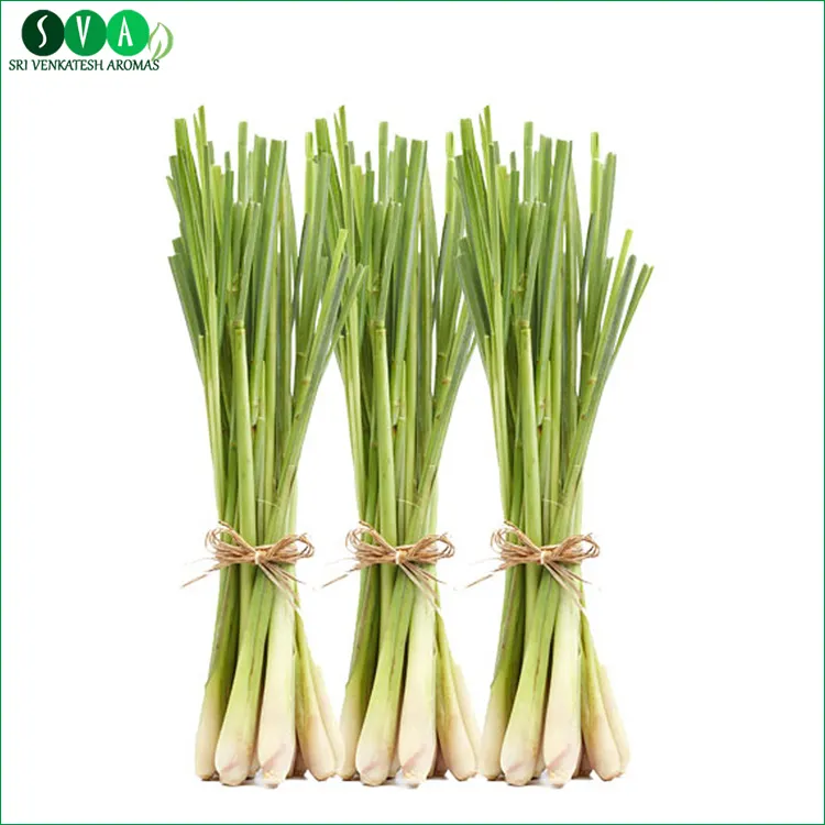 Lemongrass Essential Oil Manufactures