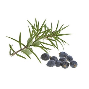 Aceite Esencial Puro de Cade, Destilado en España, Antiarrugas y Reafirmante - Product Image 2