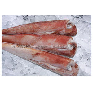 Calamar de Frozen entero - Product Image 1