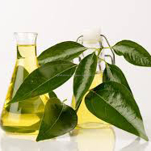 Huile essentielle de camphre organique d'aromathérapie à prix de gros booster la circulation apaiser les muscles - Product Image 4