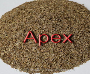 Semillas de Eneldo de Calidad, Anthemum Graveolens, Limpieza Sortex - Product Image 2