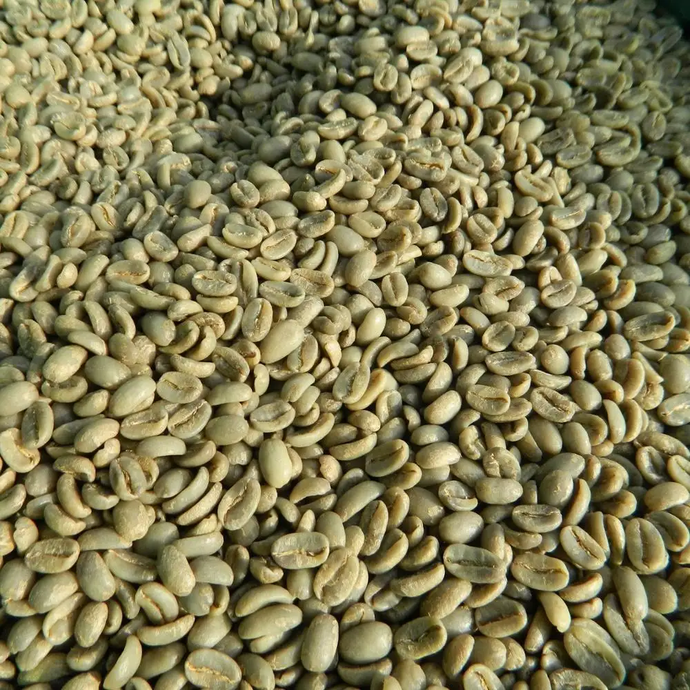 Grains de café vert 100% Robusta Sr13/Sr16/Sr18 0084339966582