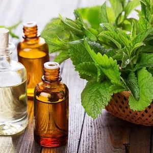น้ำมันหอมระเหยเปปเปอร์มินท์เกรดบำบัดคุณภาพระดับพรีเมี่ยมจากธรรมชาติสำหรับ100% น้ำมันหอมระเหยและความผ่อนคลาย - Product Image 2