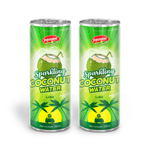 Puré de Agua de Coco Espumosa, Certificado Halal, 100% Puro, Lata de Aluminio de 250 ml, Marca JOJONAVI, Servicio ODM, Precio al por Mayor - Product Image 1