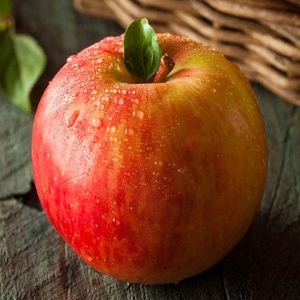 Pomme Fuji rouge, 2021, 14 pièces - Product Image 1