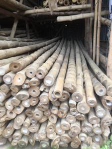เสาไม้ไผ่ TAM VONG ธรรมชาติ - Product Image 2