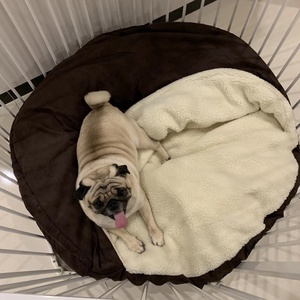 Venta al por mayor de accesorios para mascotas lavable cómodo Duerme siestas de lujo gato Cama grande ronda Snuggery manta madriguera perro cama cueva