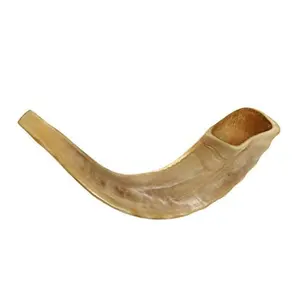 Wholesale Genuine Natural Ram Horn Shofar Polished Shofar Handicraft Sale Religious Nautical Musical Instrument Inspired Animal