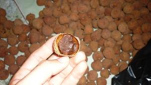 แช่แข็งลิ้นจี่แห้ง/ผลไม้ที่ดีที่สุดมาจากประเทศเขตร้อน - Product Image 4